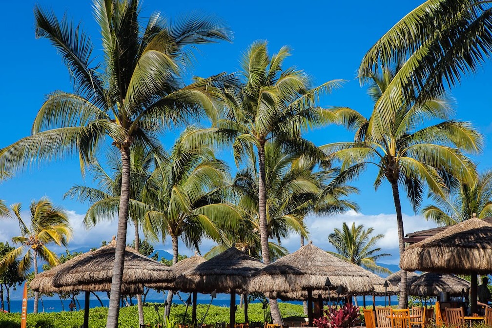 Resort photo #18