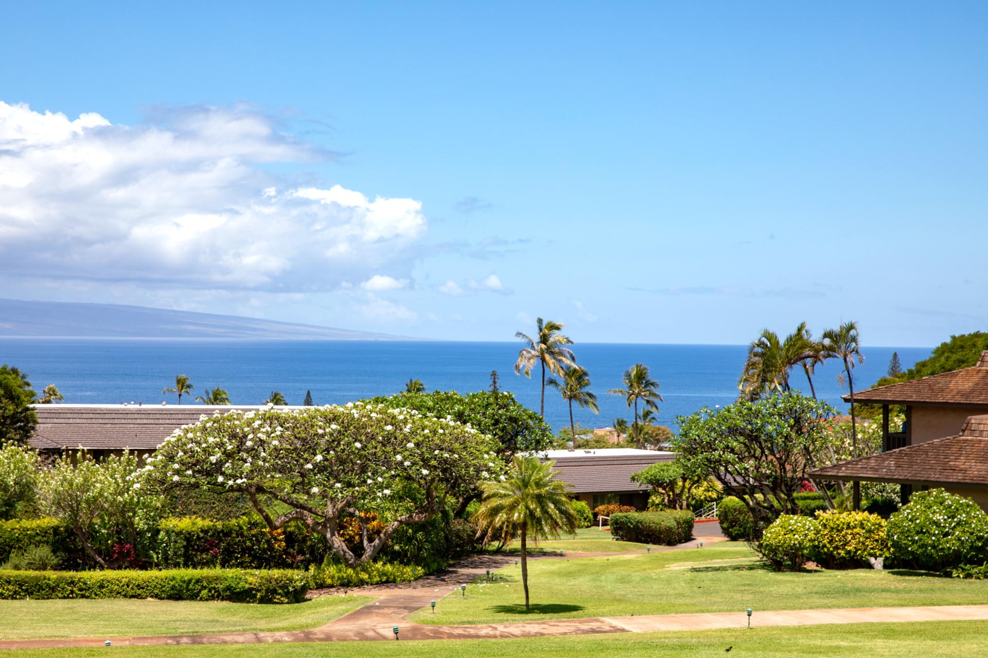 Resort photo #11