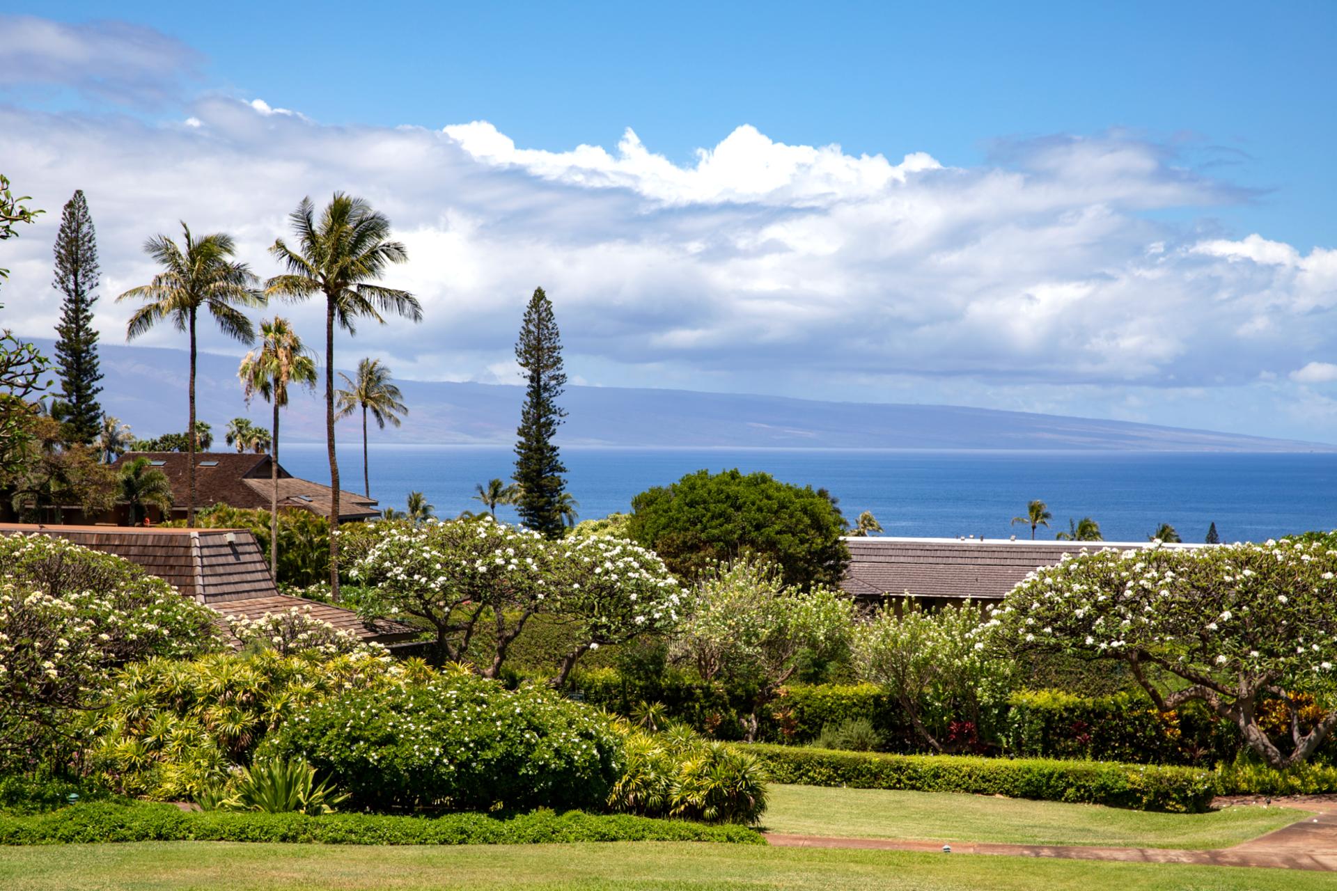 Resort photo #6