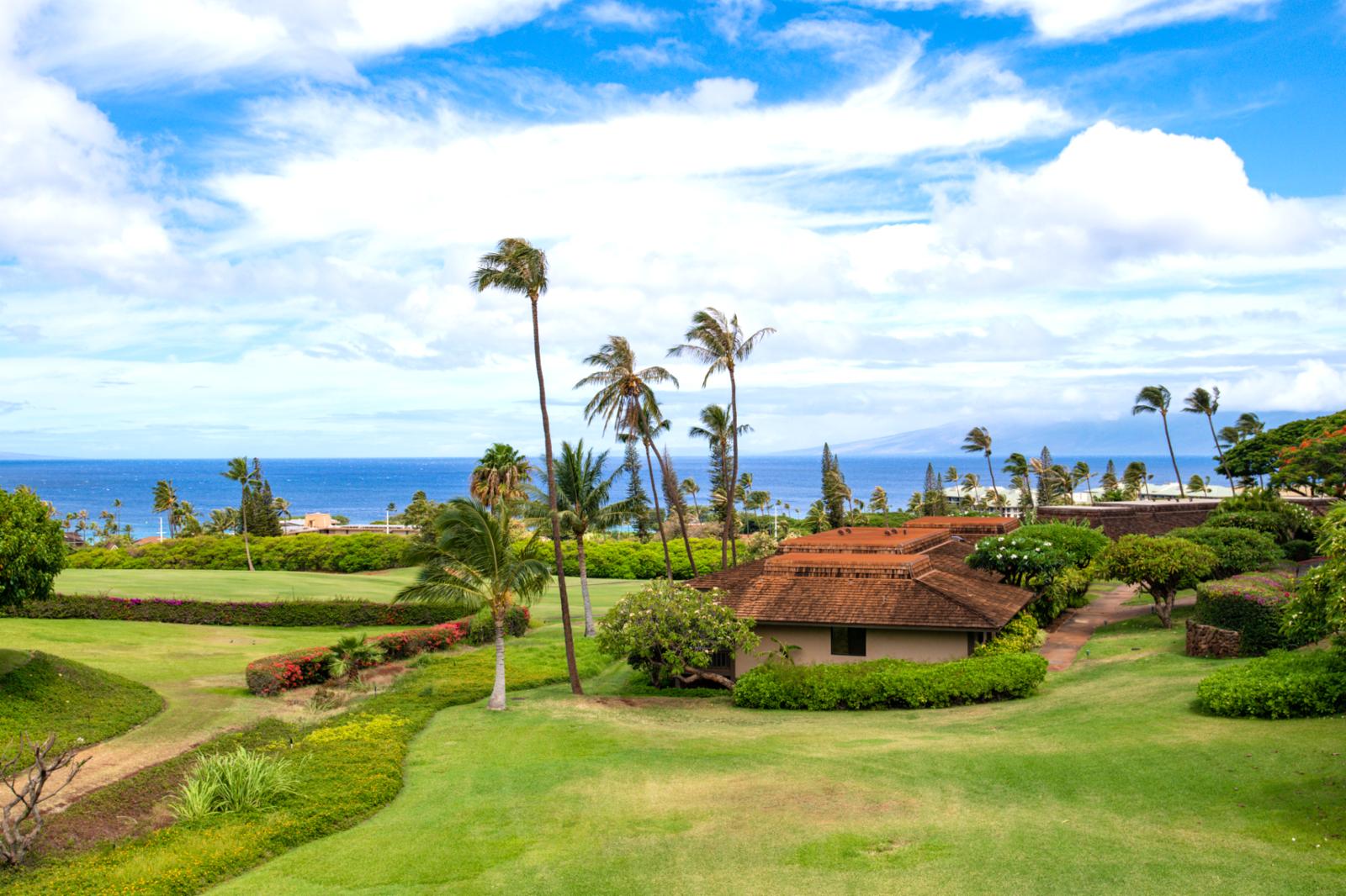 Resort photo #13