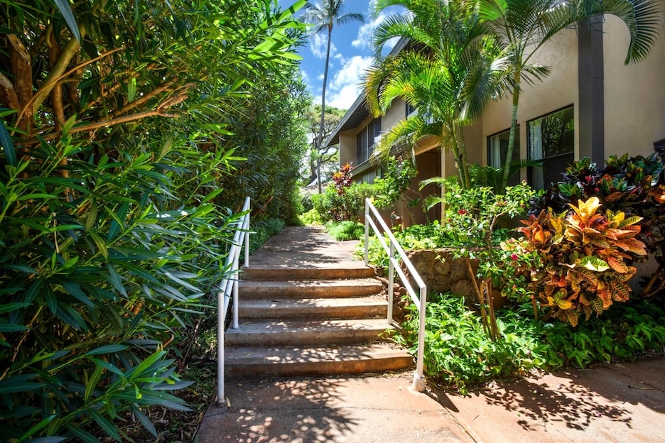 Resort photo #14