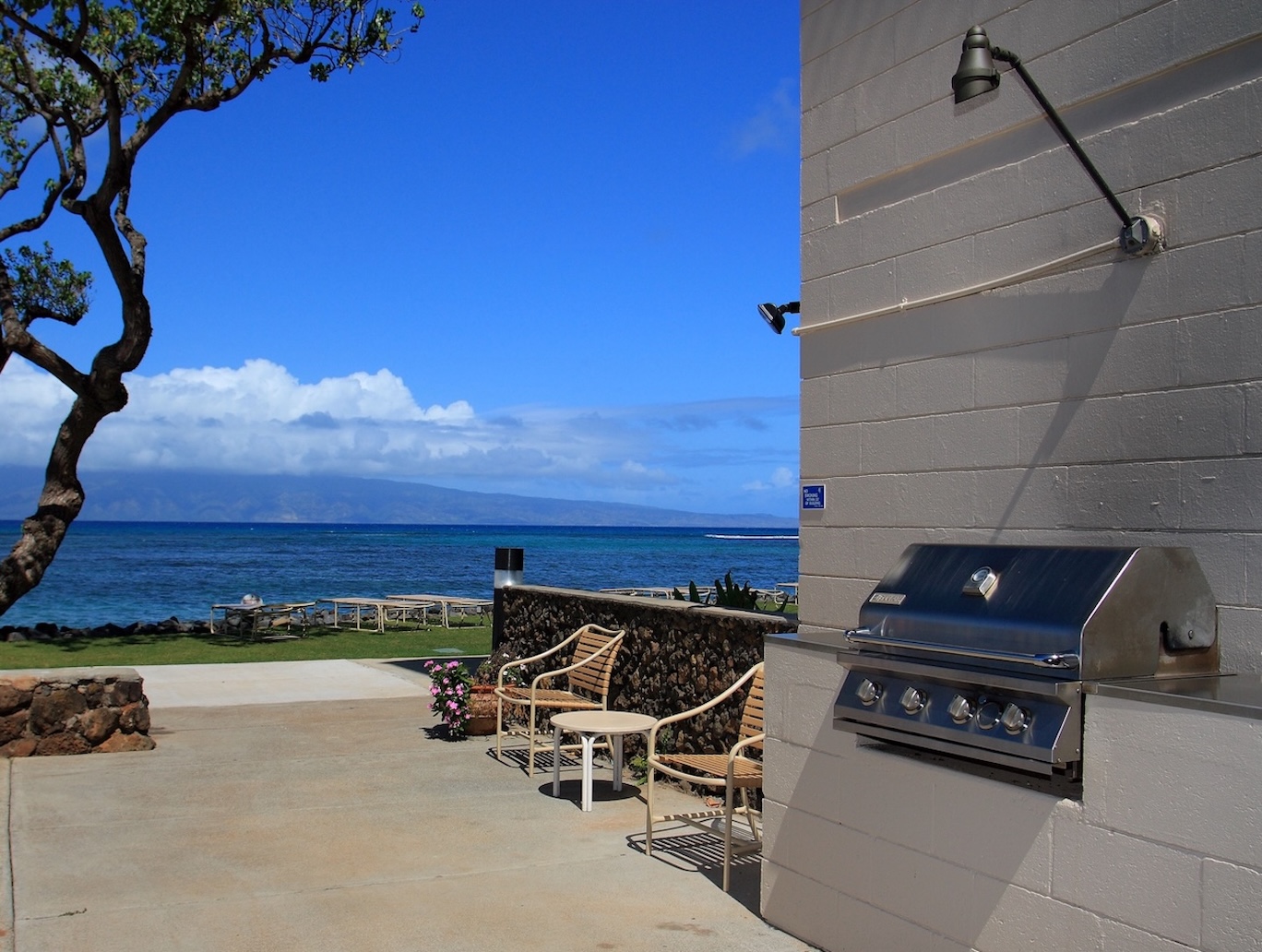 Resort photo #14