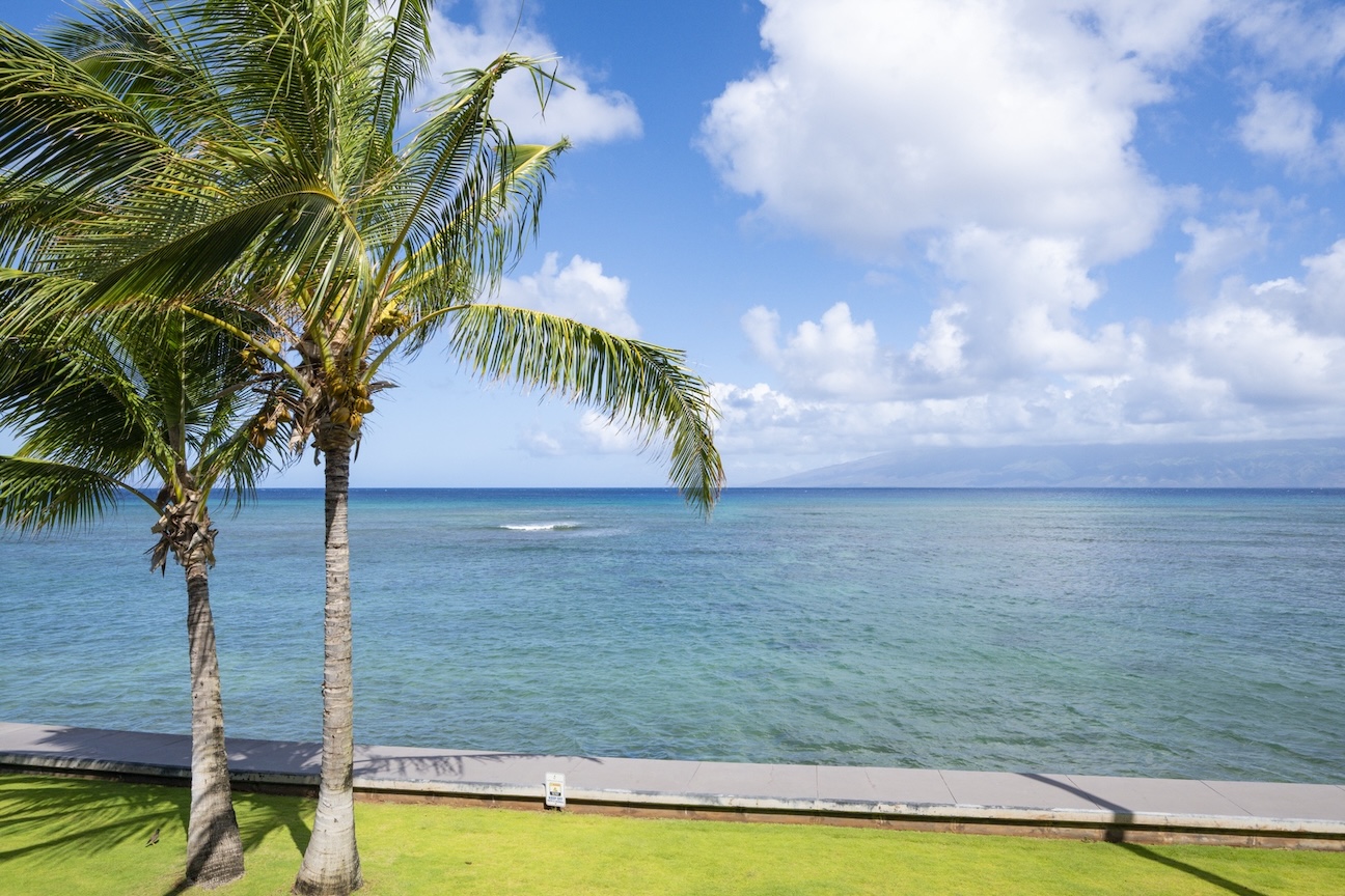 Resort photo #15