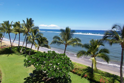 Resort photo #8