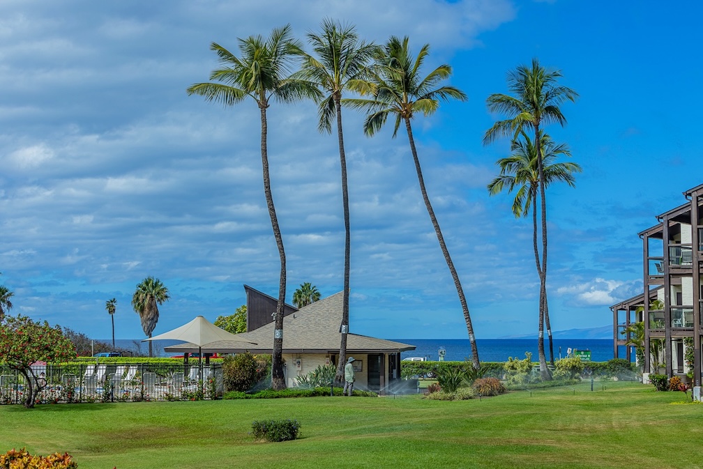 Resort photo #2
