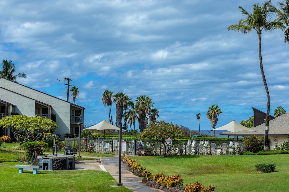 Resort photo #8