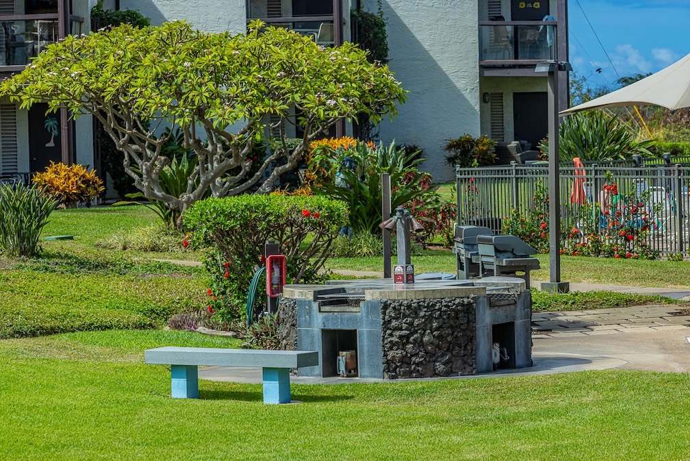 Resort photo #12