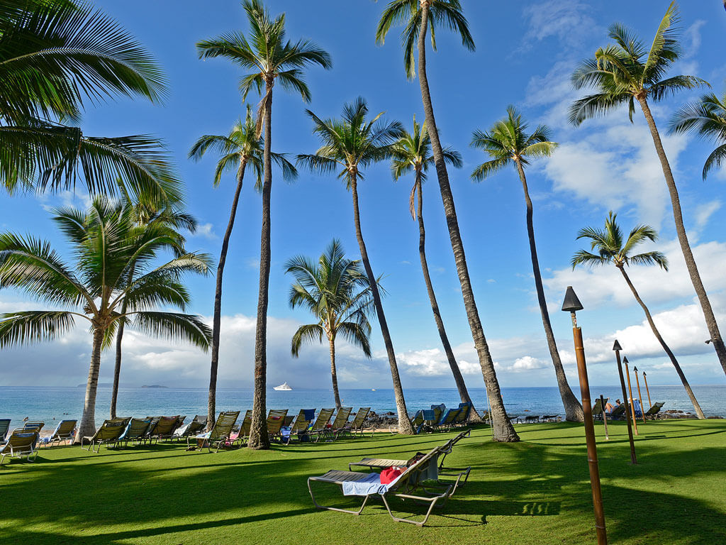 Resort photo #12
