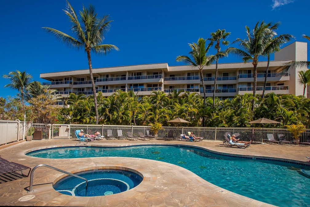 Maui Banyan