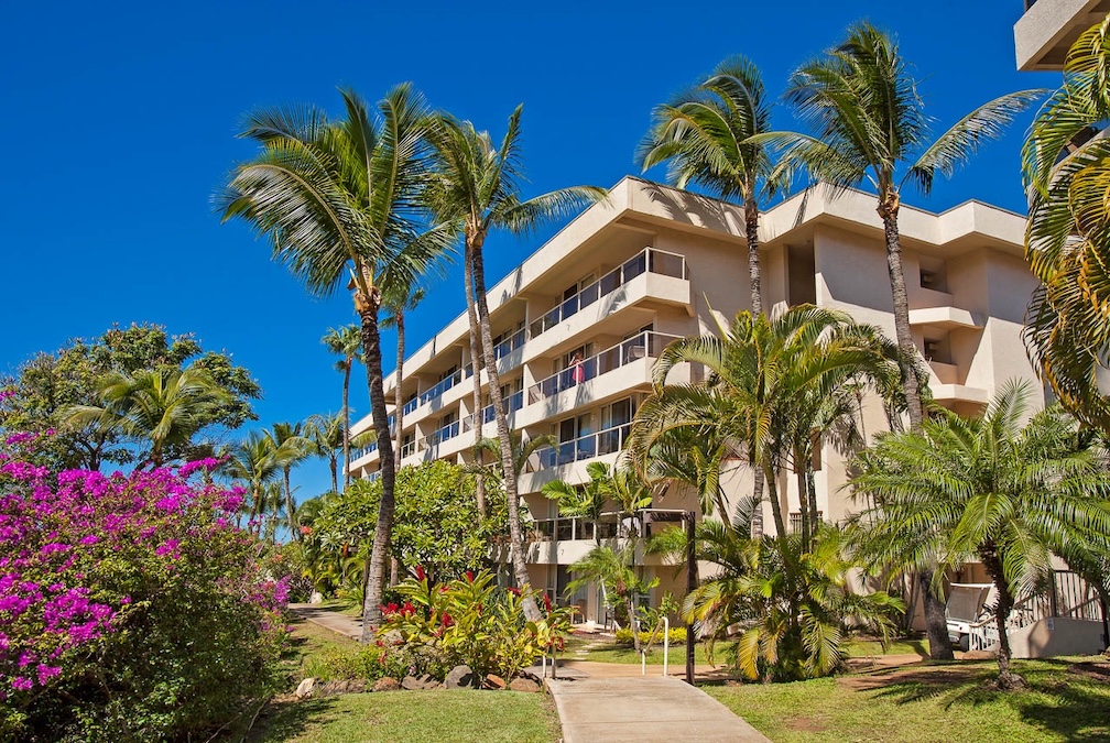 Resort photo #7