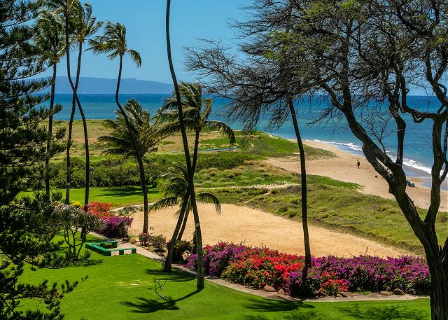 Resort photo #8
