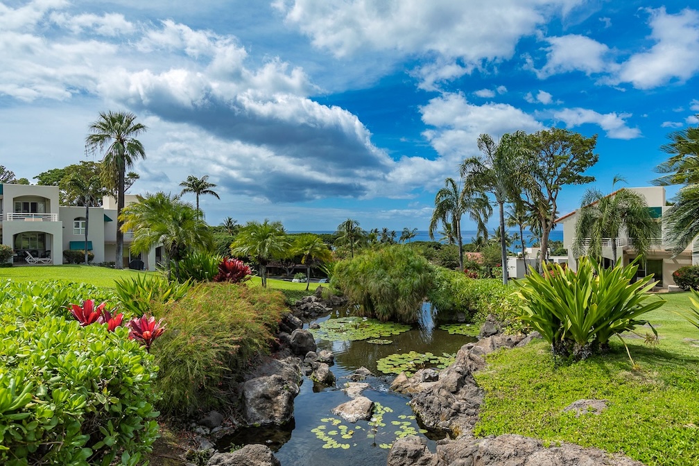 Resort photo #13