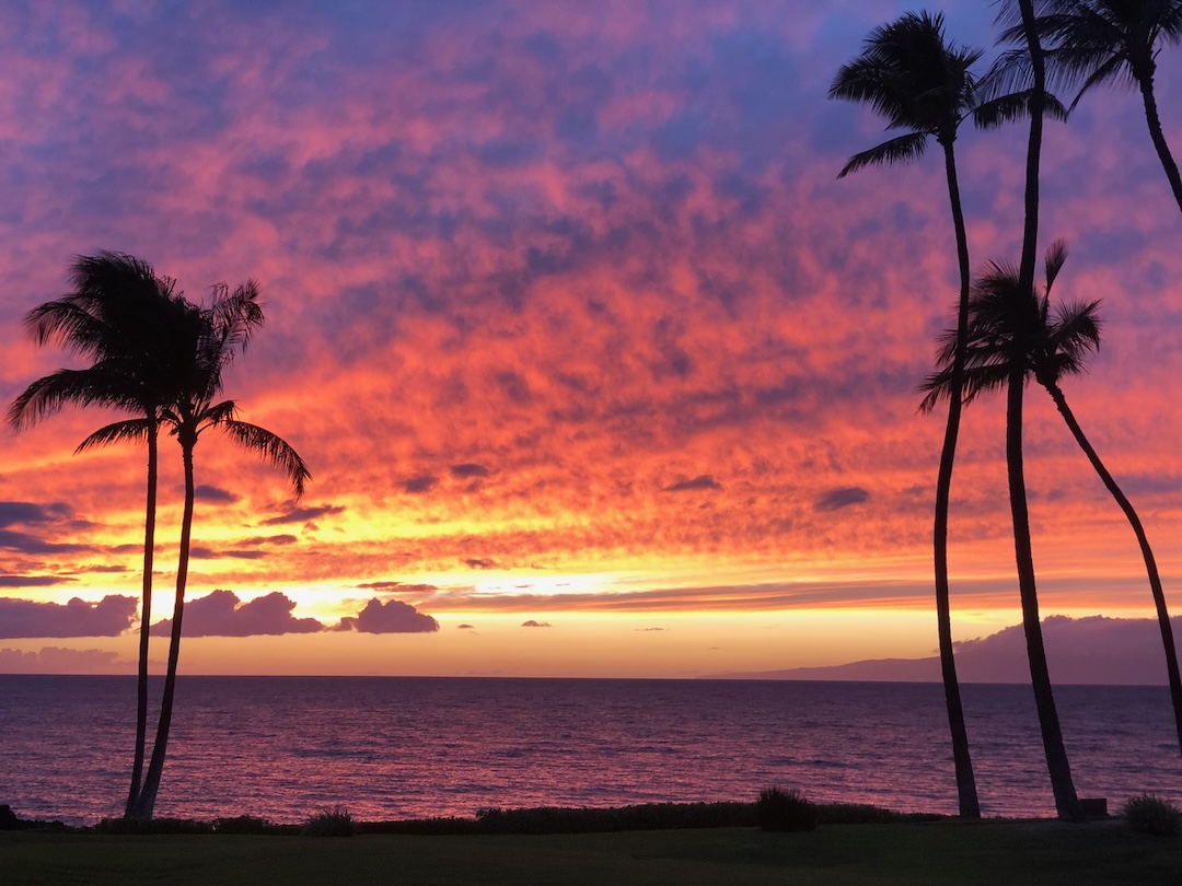 Resort photo #10